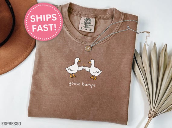 Funny Silly Goose Humor Tee, Goose Bumps Shirt Funny Gift for Loved Ones Shirt Funny Gift Goose Tee Pun Humor T-Shirt Silly Goose (KC0723)