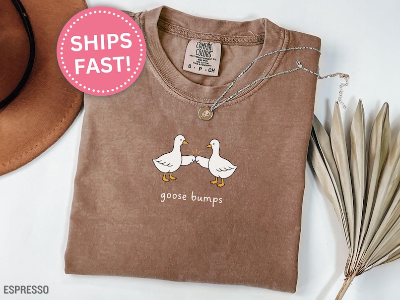 May include: Espresso-colored t-shirt with a crew neck and short sleeves. The shirt features a graphic of two white cartoon geese bumping beaks, with the words "goose bumps" below. A silver necklace with a pendant is on the shirt.