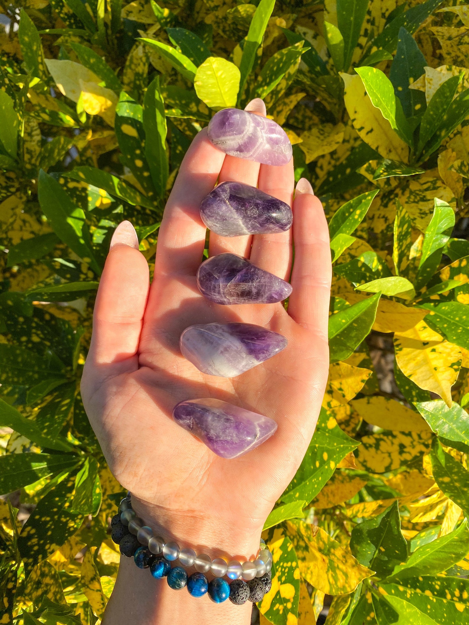 Amethyst Tumbled Crystals Etsy