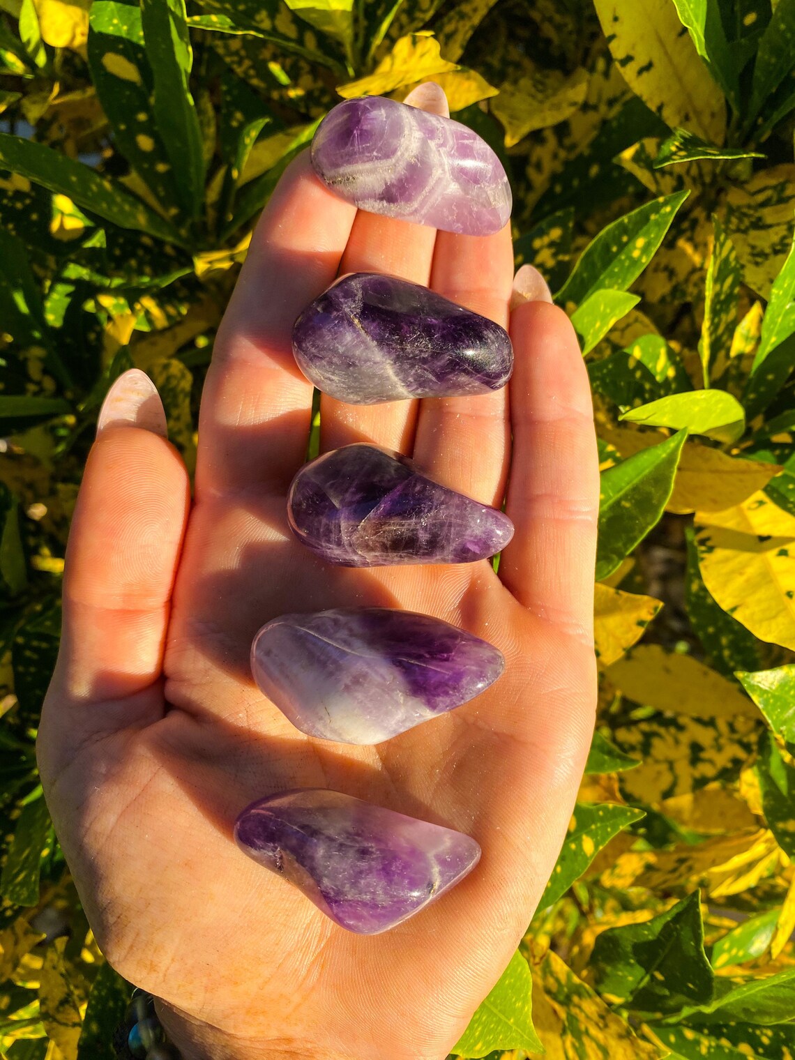 Amethyst Tumbled Crystals Etsy