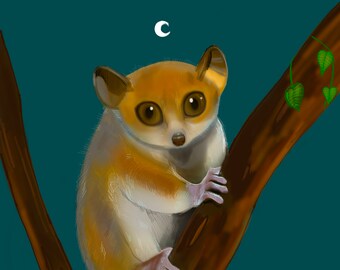 Mouse Lemur Etsy