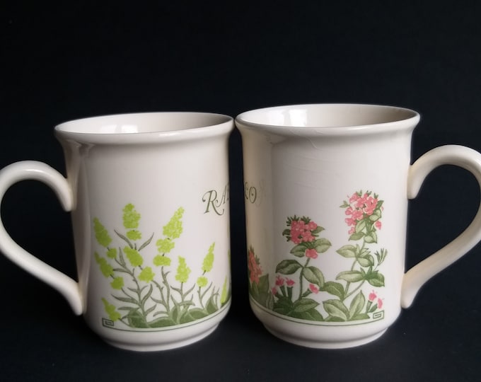 Biltons England. Set of Two Ceramic Mugs. Herbal Design (Tomillo, Rabo de Gato). Soft Cream Colour Mugs with Plant Motifs. English Pottery.