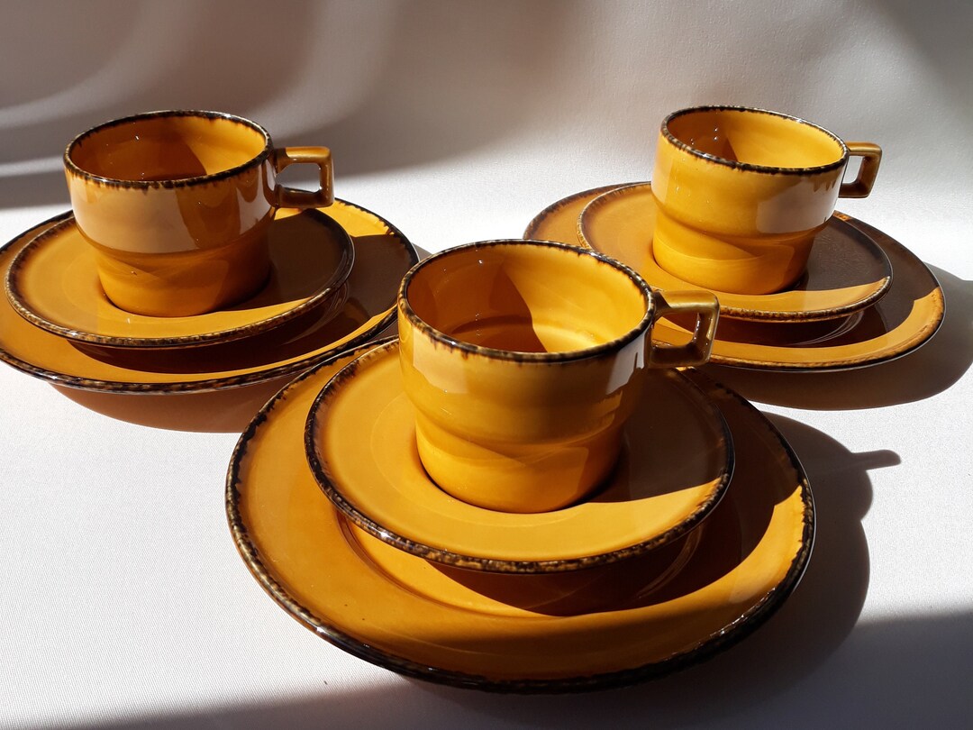 One Set of Pagnossin Treviso Terraglia Forte 775 Cup, Saucer, Plate in