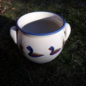 May include: White ceramic pot with blue trim and two painted ducks. The pot has two handles and is sitting on green grass.