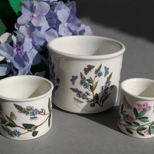 Vintage Portmeirion England Botaniska trädgårdsmugg med blommor och fjärilar, kopp eller trumma Ugn till bord Veronica Chamaedrys / Speedwell.