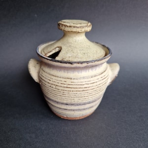 Może przedstawiać: Ceramiczny słoik z pokrywką, z beżowo-brązowym wzorem w paski. Słoik ma dwa małe uchwyty i mały otwór w pokrywce. Ceramika ma rustykalny, ręcznie robiony wygląd, z ciemną obwódką i ciemnym tłem.