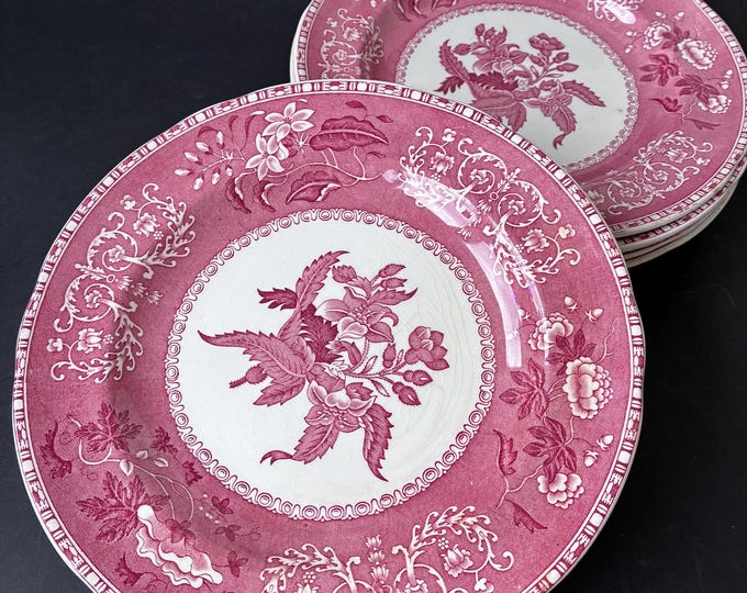 Spode England Pink Camilla Pattern Plate (8.85”). Timeless English Elegance. Scalloped Edge, Classic Transferware Design. Cosmetic Defects.