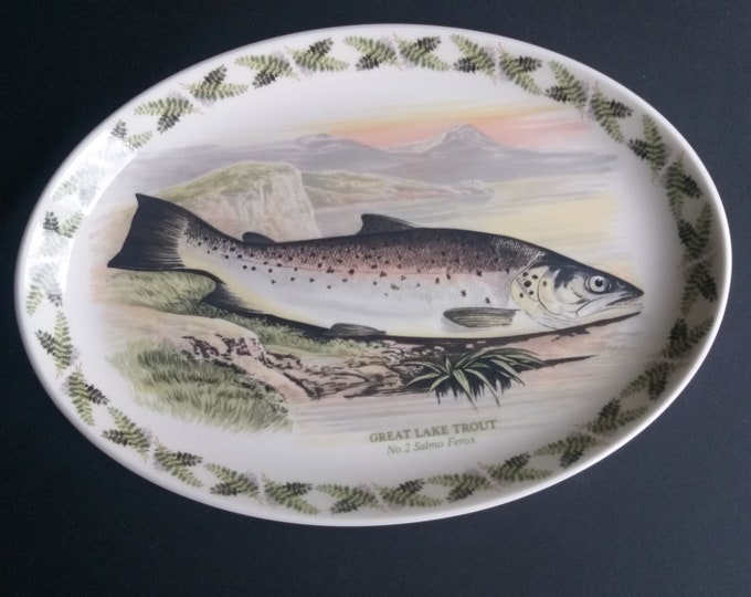 Beautiful Vintage Portmeirion England The Compleat Angler British Fishes 13" Oval Plate No.2 Great Lake Trout Salmo Ferox Oven to Table Ware