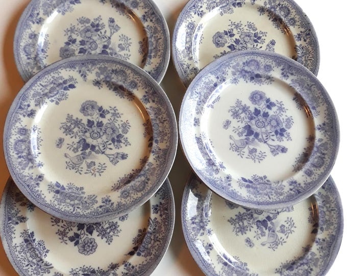 Set of 6 Antique Swedish Porcelain Classics Side Plates from the Series Fasan from Gustavsberg (1880-1923). Asiatic Pheasants. Collectable.