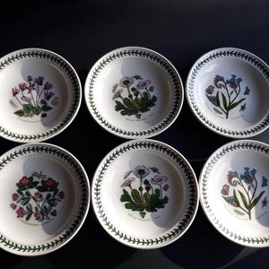 Ein Vintage Portmeirion England Botanic kleiner Teller oder flache Schüssel. Auswahl aus Sechs Motiven. Blumenmuster von Susan Williams Ellis.