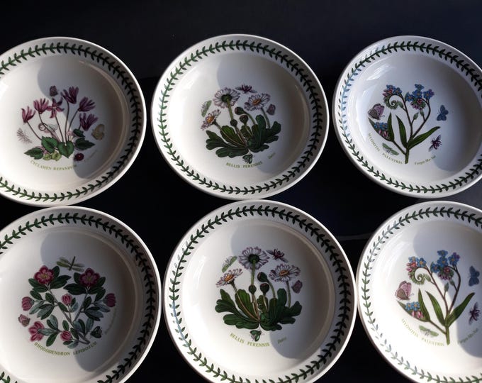 One Vintage Portmeirion England Botanic Small Plate or Shallow Bowl. Choice of Six Patterns. Floral Design by Susan Williams Ellis.