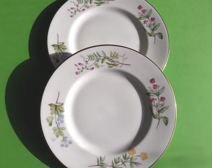 Set of 2 Meadow Minton England Bone China Plates 20.5 cm (8.07"). Floral Patter. Gilded Edge. Marked. Looks Unused.
