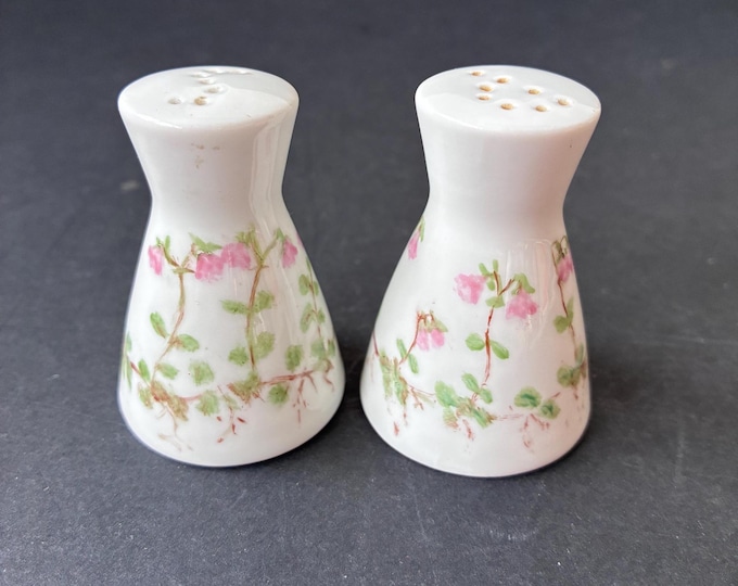 Vintage Rosenthal Germany Salt and Pepper Shakers. Shaker Set made of White Glazed Porcelain and Hand Painted. Linnea Flower Motive. Marked.