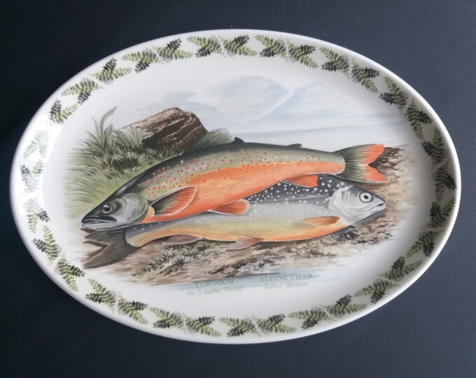 Vintage Portmeirion England The Compleat Angler British Fishes 13" Oval Plate No.5 Torgoch Alpine Char Salmo Alpinus. Oven to Table Ware.