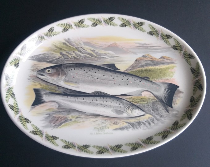 Vintage Portmeirion England The Compleat Angler British Fishes 13" Oval Plate No.3 Sea Trout Sewen Salmo Cambricus. Oven to Table Ware.