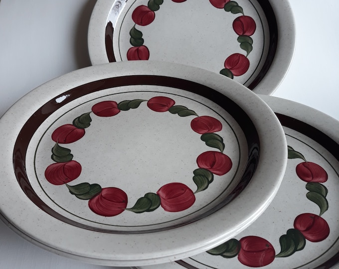Rorstrand Sweden. Stoneware Birgitta Dinner Plates 23.7 cm (9.33").  Beautifully Hand Painted in Bright Colours. Vintage Swedish Tableware.