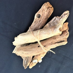 5 Pieces of Driftwood 7 1/2&quot; to 10&quot;; Driftwood Bundle; Bulk Driftwood; Driftwood Pieces; Nautical Projects; Bundle #110