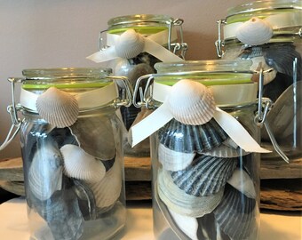 Sea Shells in a Jar; Jar of Sea Shells; Shells from the Atlantic Ocean; Nautical; Gift under 20; Beach Décor; Sea Shells; Shells for Crafts