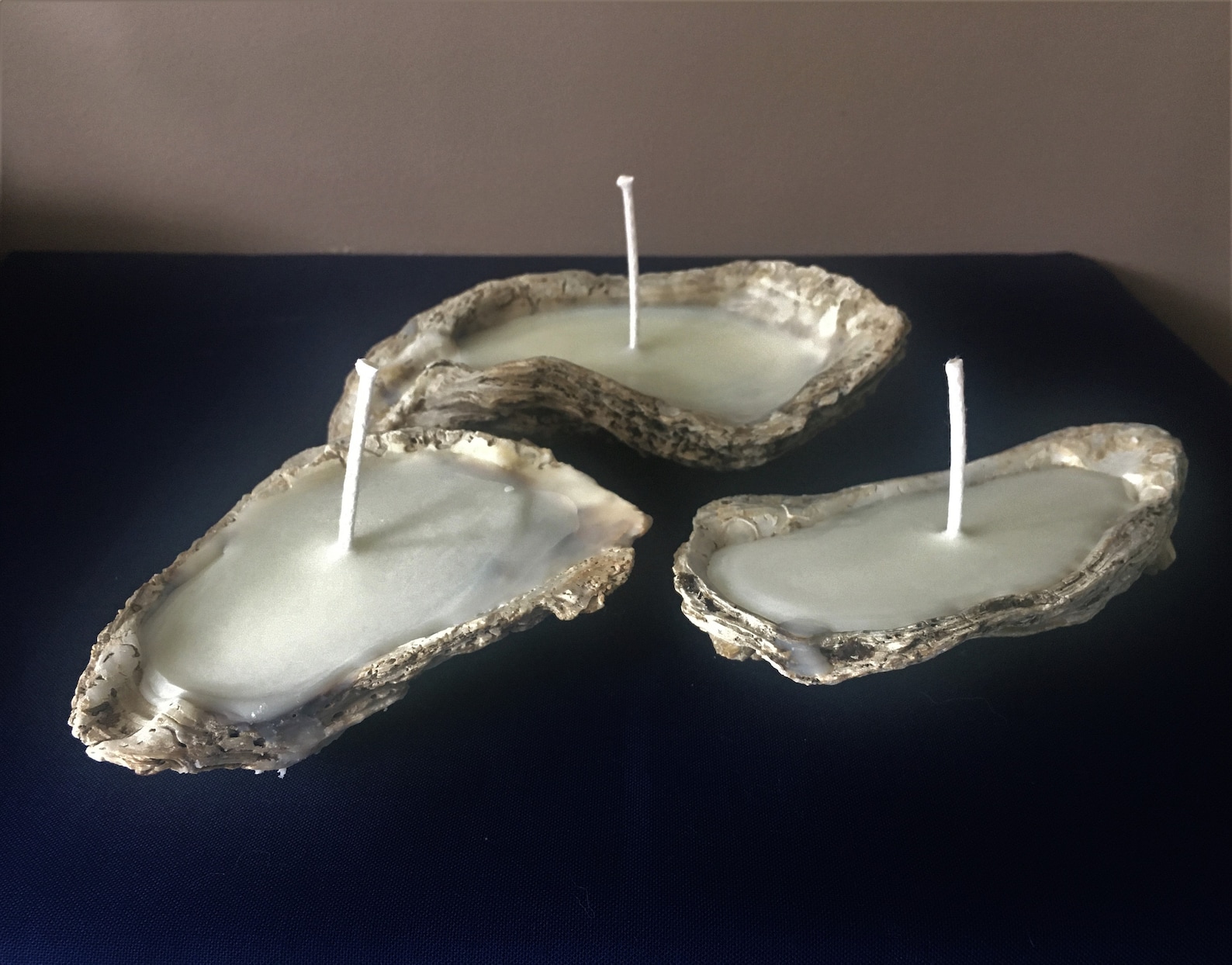 Oyster Shell Candle Set Three Oyster Shell Tea Candles Etsy