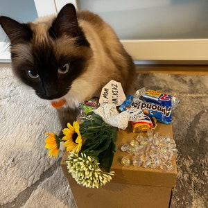 May include: A brown cardboard box with a sunflower and white flower arrangement on top. The box is surrounded by clear plastic beads and a small bag of Almond Joy candy. A cat with brown and white fur is looking at the box.