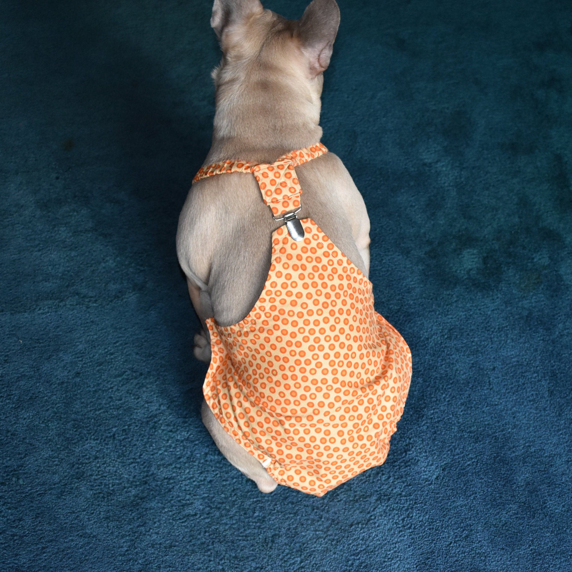 Dog Fancy Pants for Dogs in Heat Etsy