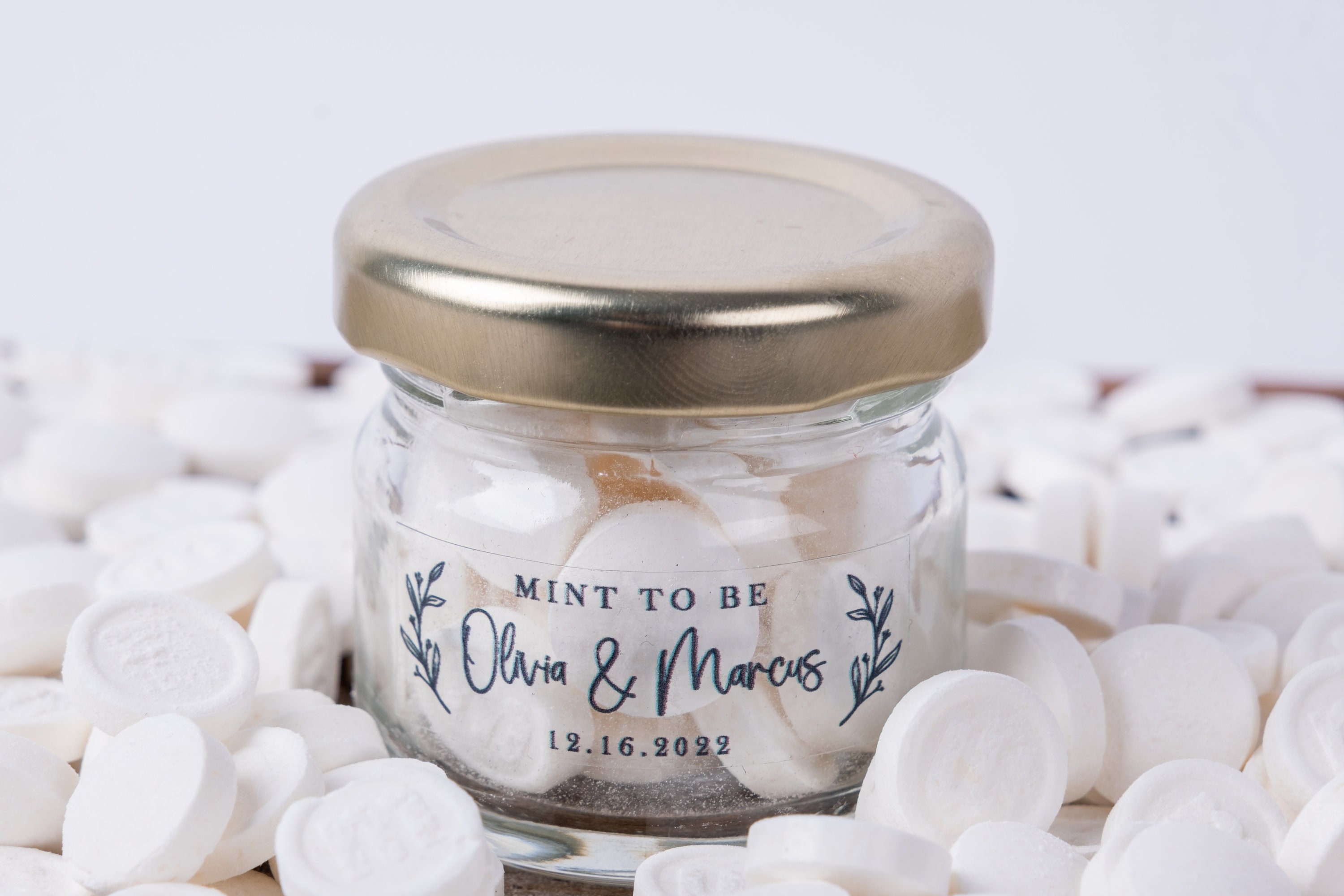 Are Lifesaver Mints Bad For Dogs