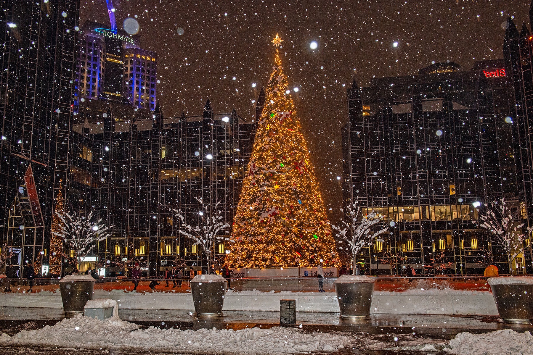 DIGITAL IMAGE PPG Place Christmas Tree Pittsburgh Winter Etsy