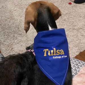 Law School Dog Bandana