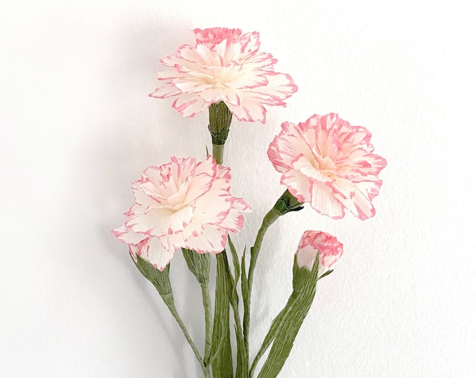 DIY KIT - Handmade Crepe Paper Carnation Flower's Kit with Video Tutorial