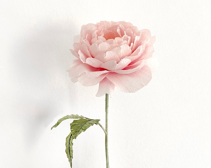 DIY KIT - Handmade Crepe Paper English Rose - Scepter'd Isle Flower's Kit with video Tutorial