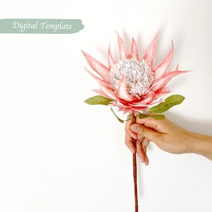 Digital Template- Handmade Crepe paper King Protea Flower Digital Template with video Tutorial
