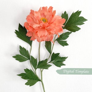 Digital Template- Handmade Crepe paper Tree Peony Digital Template with video tutorial