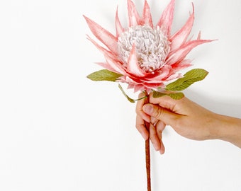 DIY KIT - Handgemachtes Krepppapier King Protea Blumen Kit mit Video Tutorial