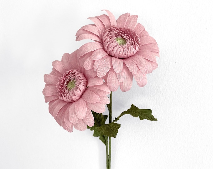 DIY KIT -  Crepe Paper Gerbera Daisy's Kit with video Tutorial