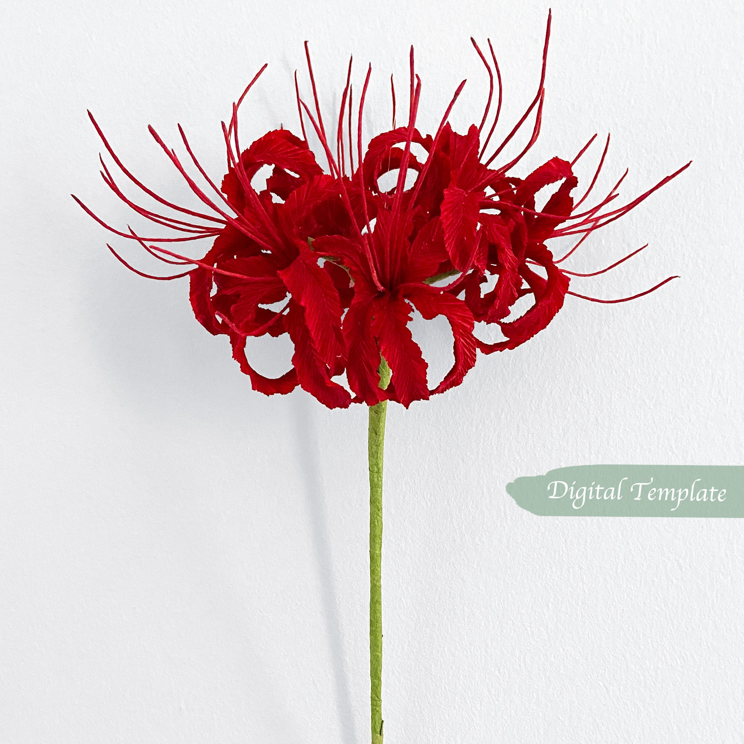 Crepe Paper Spider Lily Template With Video Tutorial - Etsy UK