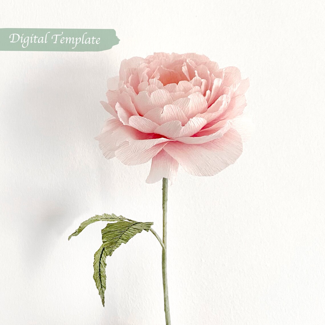 Digital Template Handmade Crepe Paper English Rose | Etsy