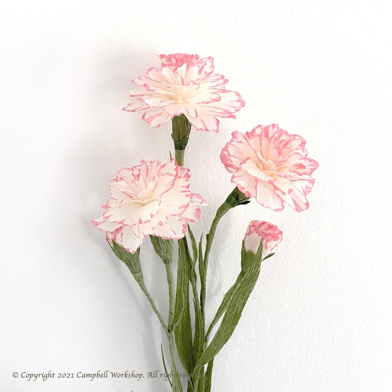 Handmade Crepe Paper Carnation Flower/'s Kit with Video Tutorial DIY KIT