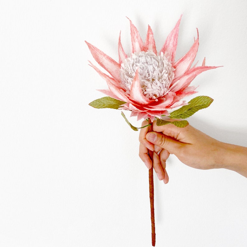 DIY KIT Handgemachtes Krepppapier King Protea Blumen Kit mit Video Tutorial Bild 1