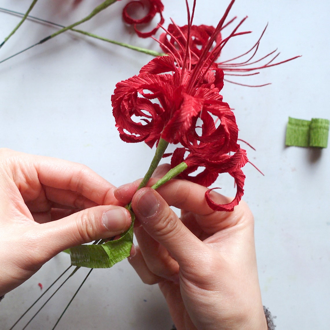 Digital Template Handmade Crepe Paper Spider Lily Template - Etsy