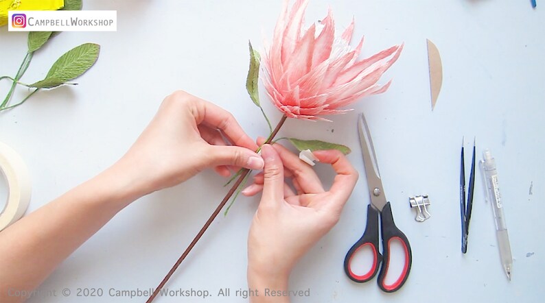 DIY KIT Handgemachtes Krepppapier King Protea Blumen Kit mit Video Tutorial Bild 6