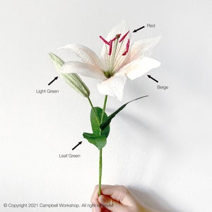 May include: A paper lily flower with beige petals and red stamens. The stem and leaves are green. A closed bud is visible. The flower is held against a white background. Copyright 2021 Campbell Workshop. All right reserved.