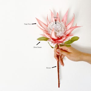 May include: A pale pink and beige protea flower with olive green leaves and a brown stem. The flower is held by a hand against a white background. The flower's petals are a soft pink, and the center is beige.