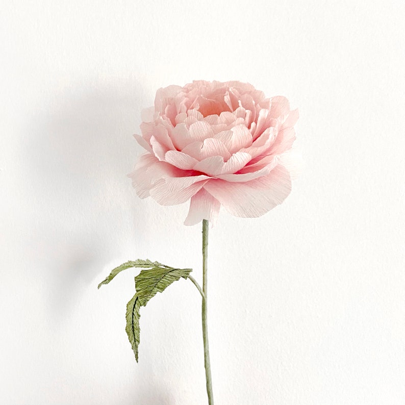 Peut inclure: Une fleur en papier faite &agrave; la main, de couleur rose p&acirc;le. La fleur pr&eacute;sente de multiples couches de p&eacute;tales, une tige verte et des feuilles vertes. La fleur est pos&eacute;e sur un fond blanc uni.