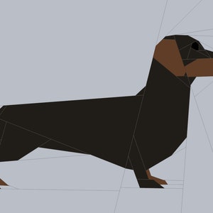 May include: A black and brown dachshund dog with short legs and long body, standing on a light gray background.