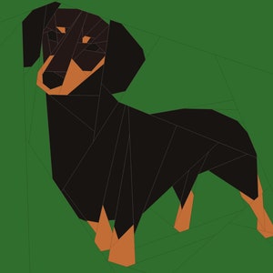 Può includere: Un bassotto nero e marrone con un corpo lungo e zampe corte, in piedi su uno sfondo verde. Il cane sta guardando a sinistra dell'immagine.