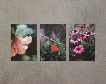 Postcard set GARDEN FLOWERS - 3 postcards with photos of flowers from the garden