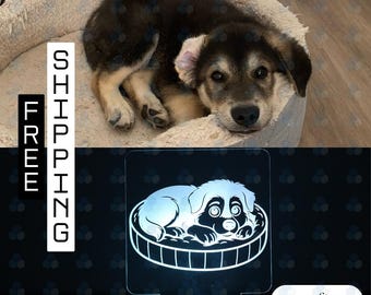 Custom Pet Portrait LED Night Light, Personalized Dog Cat Photo Lamp, Cartoon Memorial Gift