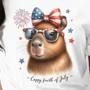 Patriotic Sloth T-Shirt, Fourth of July Fireworks USA Flag Hat, Cute Animal Independence Day Tee, Unisex Summer Top
