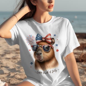 Patriotic Sloth T-Shirt, Cute Animal 4th of July Tee, Independence Day Shirt, Fireworks Graphic Top, USA Flag Design, Summer Apparel