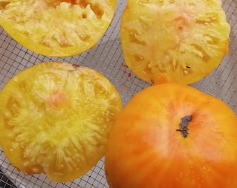 Hensley Settlement Heirloom Tomato (30 Seeds)